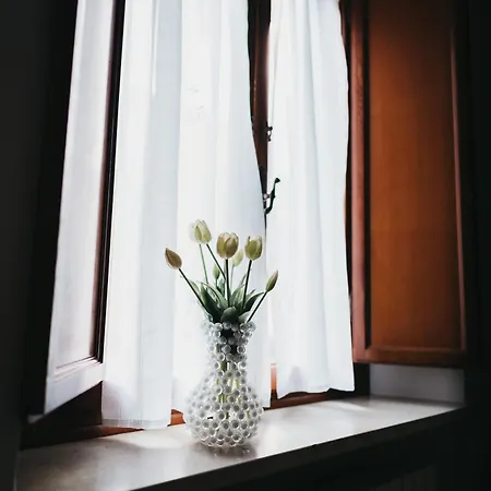 Casa Alice Centro Lucca